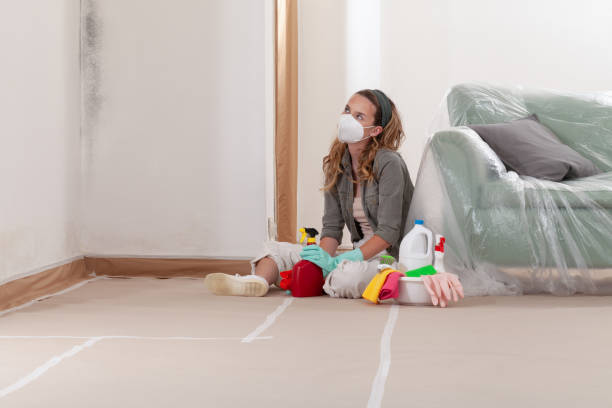 Reliable Commercial Mold Remediation contractor in Windsor, CO by WQB Mold Removal